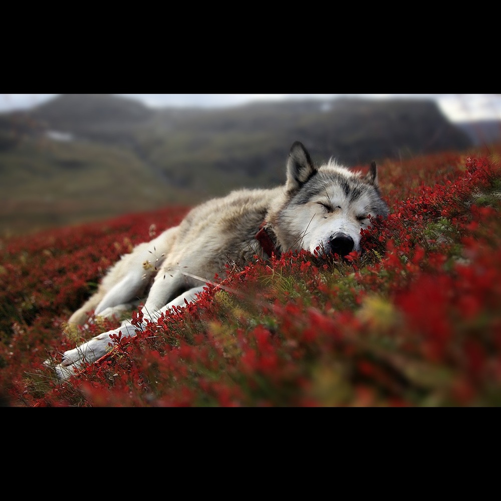 Meet your Posher, Kerry